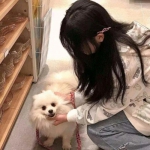 米乐体育m6官网网页版旗舰版